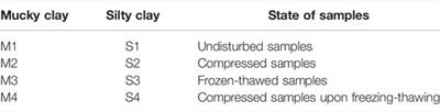 Micropore Structure and Fractal Characteristics of Clays Due to Freeze-Thaw and Compression Based on Mercury Intrusion Porosimetry